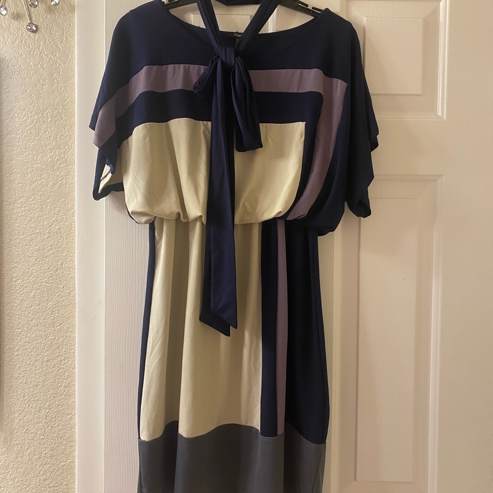 Multi Colored Dress